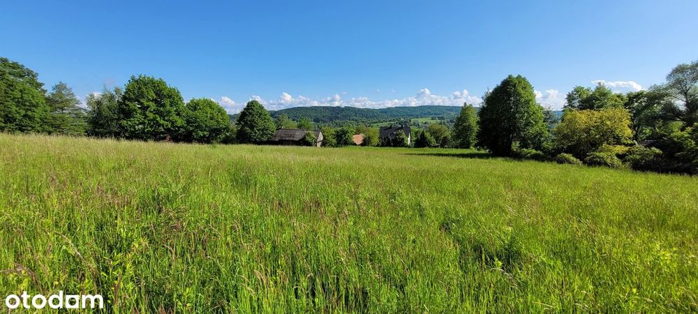 Działki w Miejscowości Grabina Gmina Bochnia