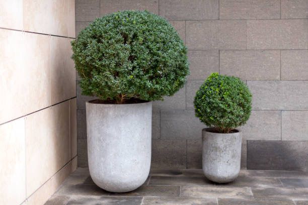 Продаж бетонних вазонів і лав