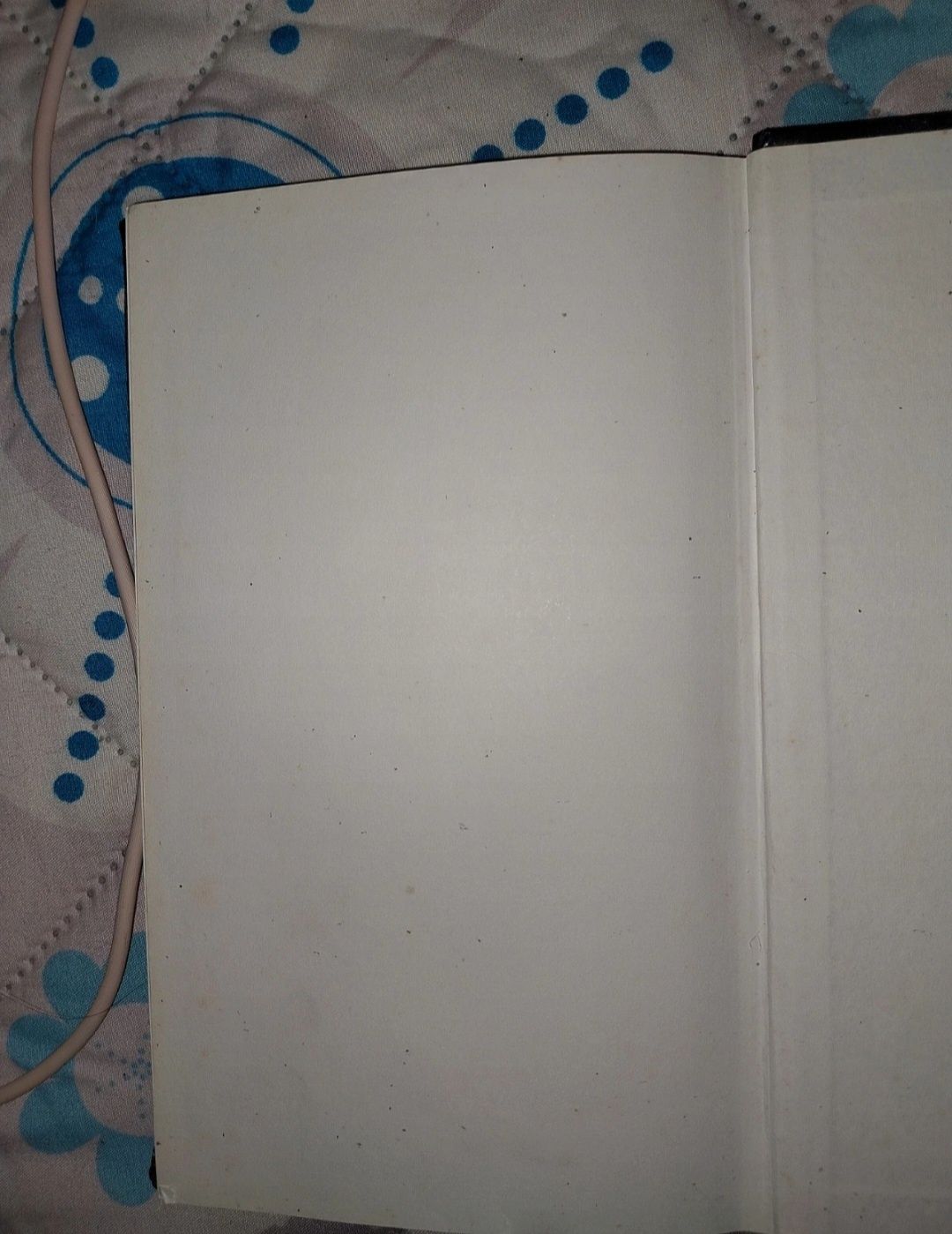 Livro Queimada viva
