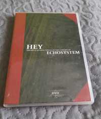 Hey Film. Echosystem DVD