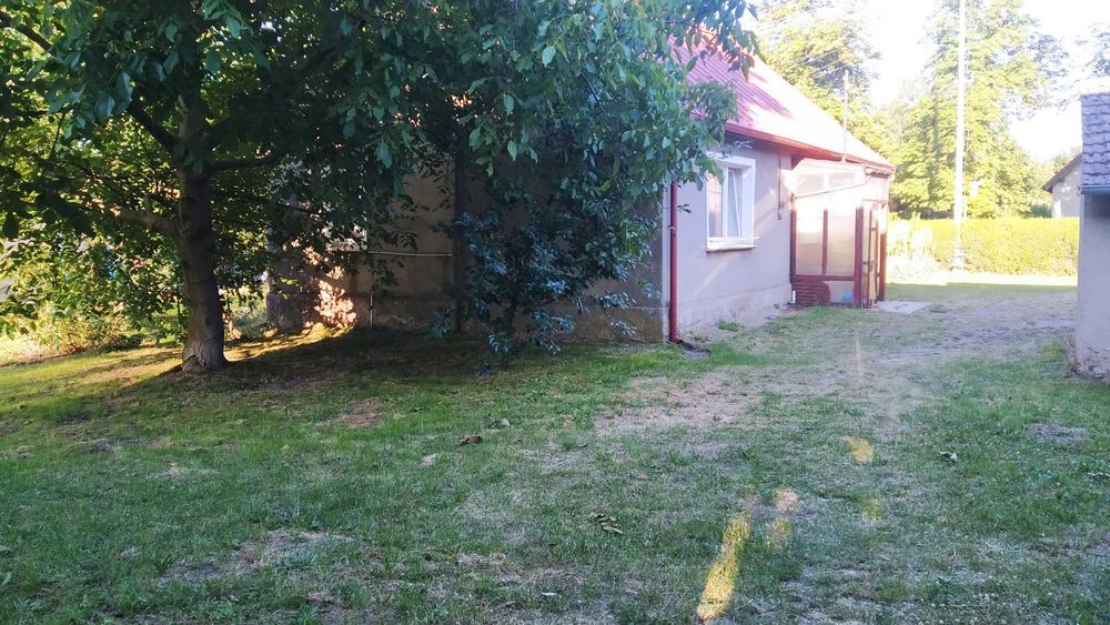 Sprzedam dom wolnostojący z budynkami gospodarczymi