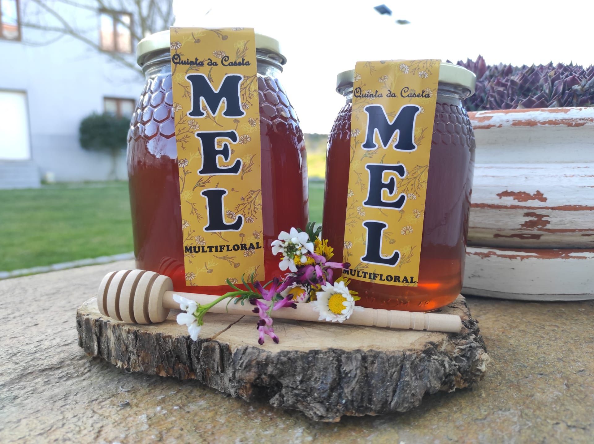Mel Rosmaninho, Multifloral, Bosque, Montanha, Pólen e falos de mel