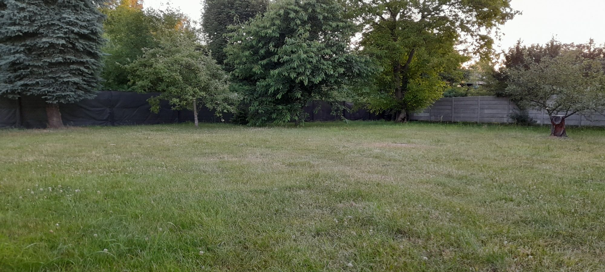 Opieka nad psem podczas urlopu