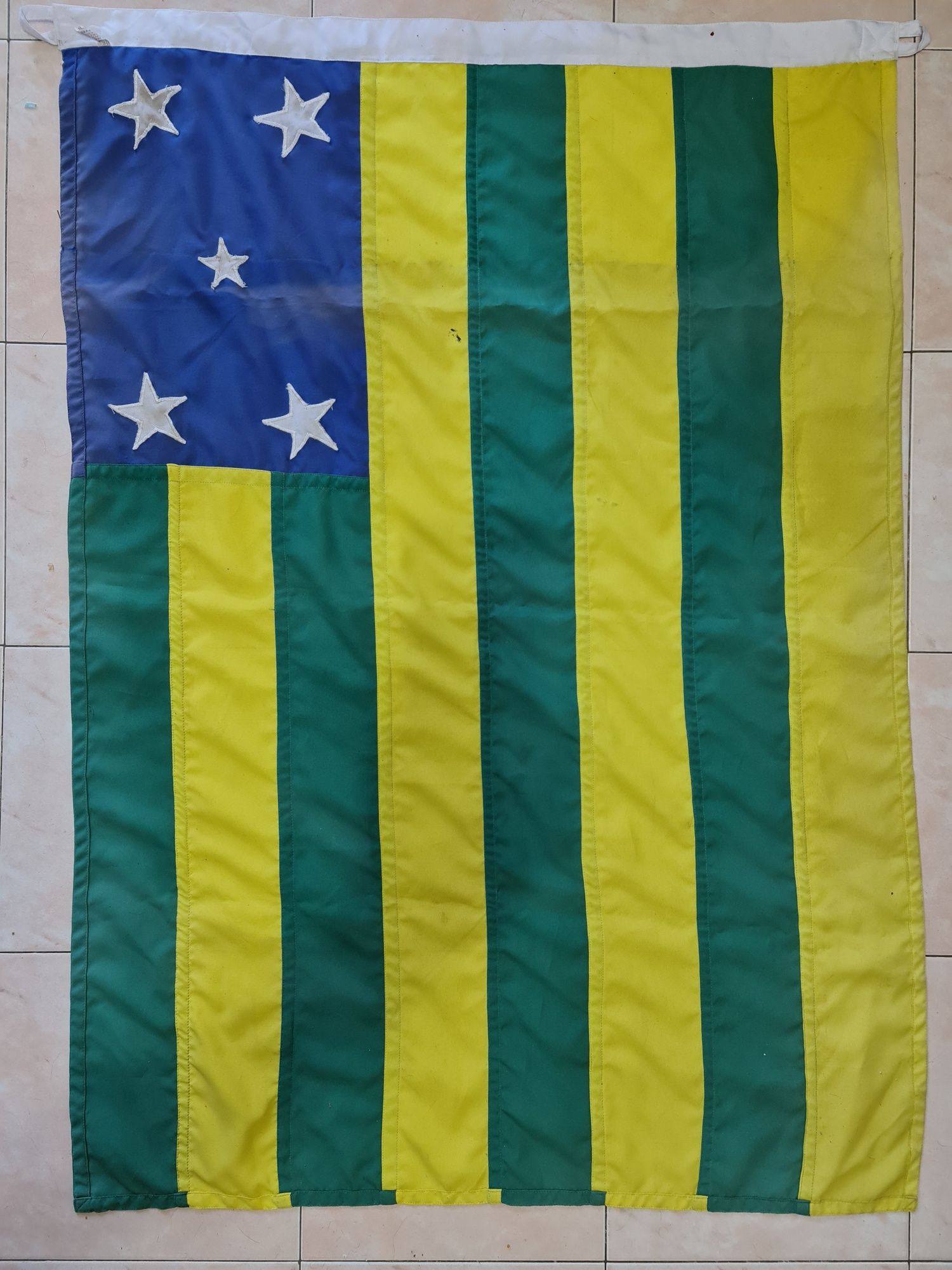 Bandeira brasileira de Goiás