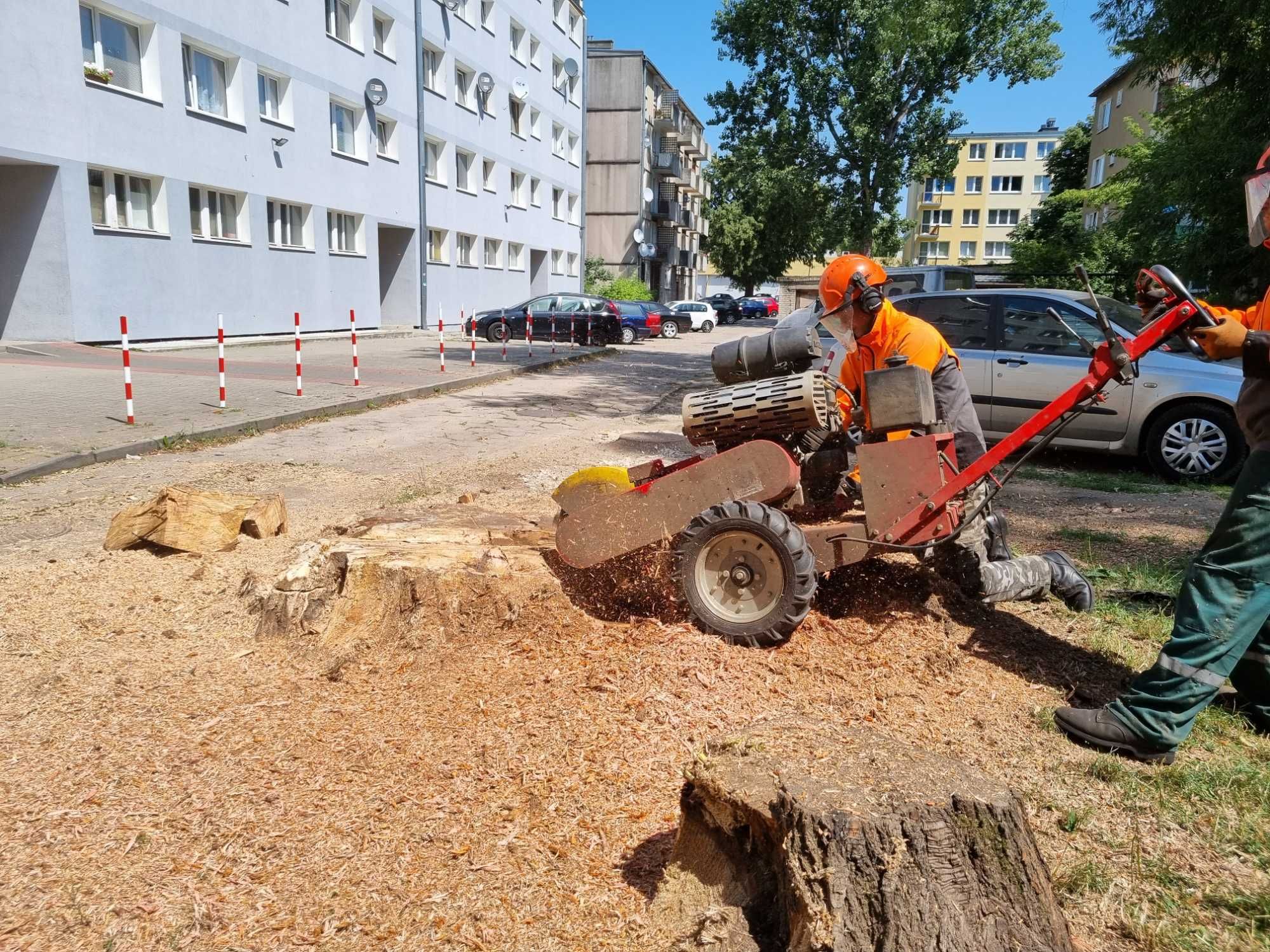 sprzątanie usuwanie rozdrabnianie gałęzi z działek rębakiem Łódź
