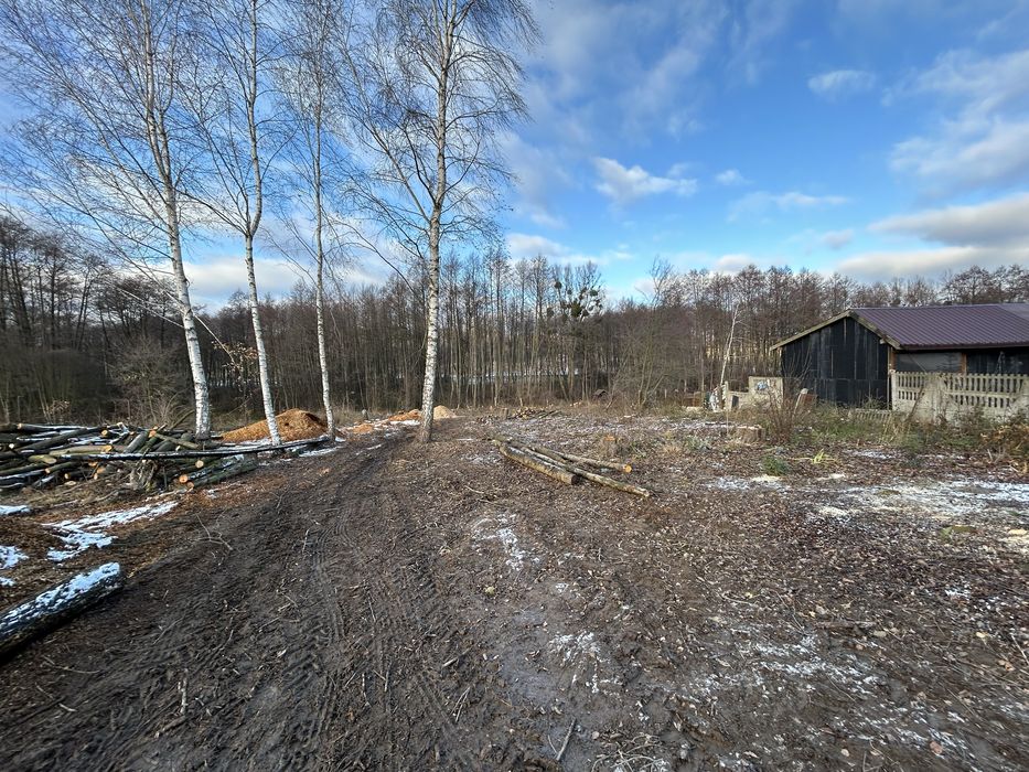 Usługi Ogrodnicze Koszenie Traw Wycinka Drzew/sadowCzyszczenie działek