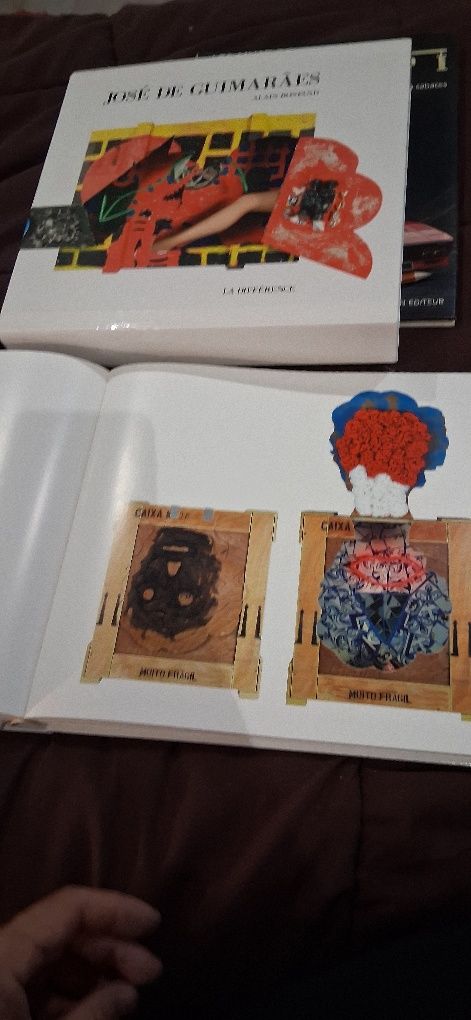 Livro jose de Guimarães