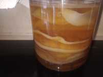 Kombucha+ starter, grzybek herbaciany