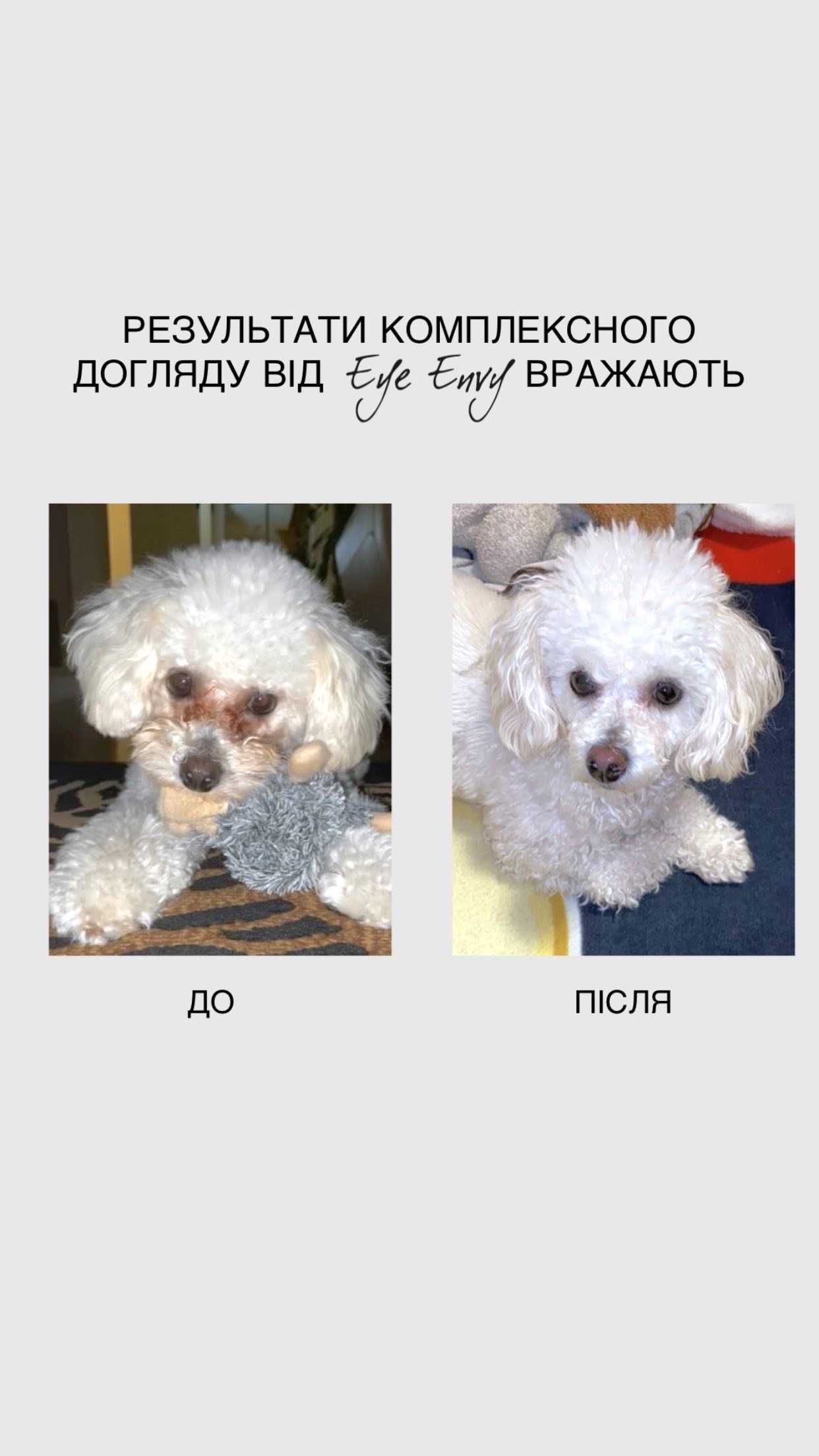 Набір Starter Kit для видалення слізних доріжок у тварин від Eye Envy