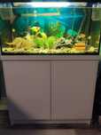 Akwarium 120l  zestaw