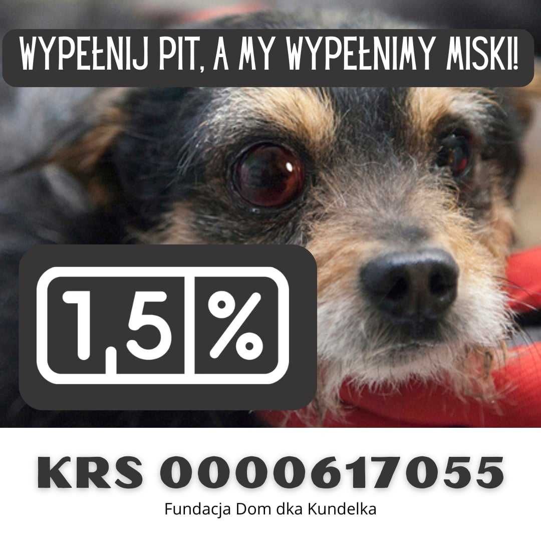 LUK. czeka na Ciebie