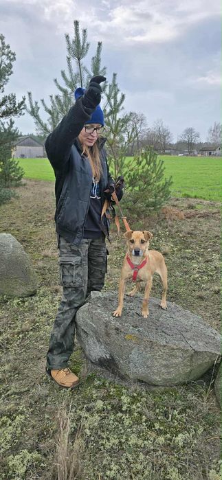 Malutki Kuśko ,szuka domu.