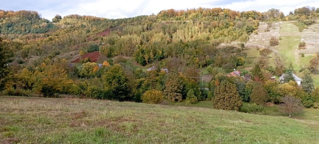 Продаж ділянки у Колиби Поляна Закарпатьской