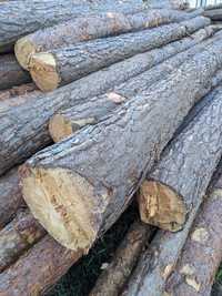 Drewno tartaczne, sosna dłużyca, kłoda, materiał konstrukcyjny