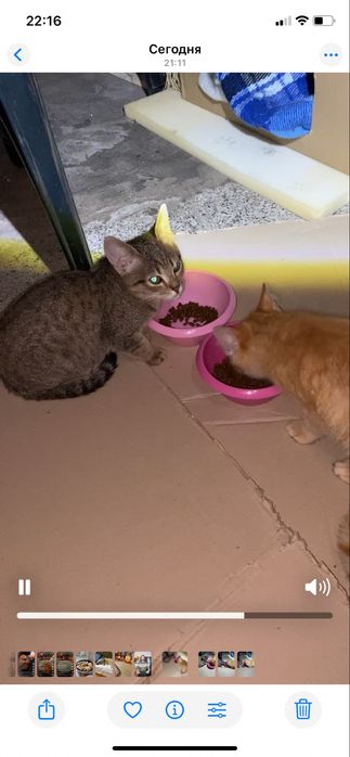 Допоможіть знайти сімʼю,викинули нелюди в такий холод