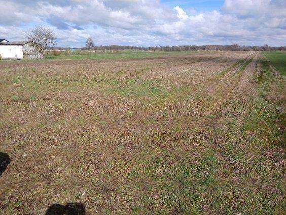 sprzedam ziemię pod inwestycję 1,5 hektara