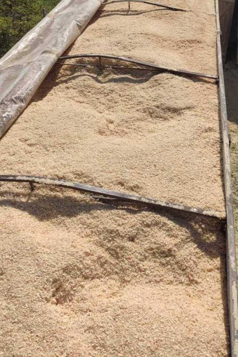 Продається тирса (суха)