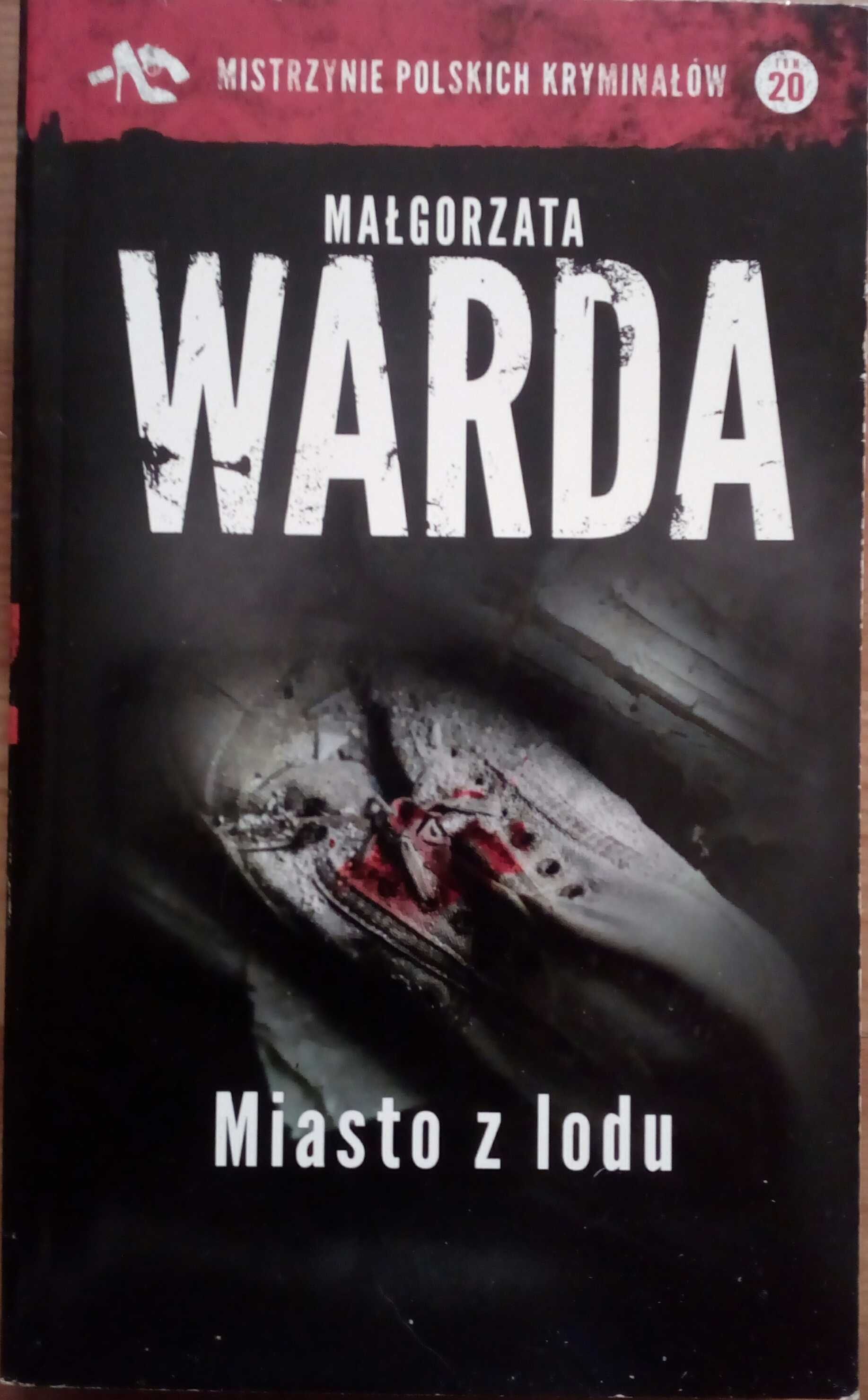 Miasto z lodu Małgorzata Warda