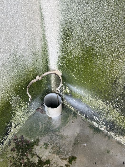 Alpinista, escalador, cordista, irata, rope access.