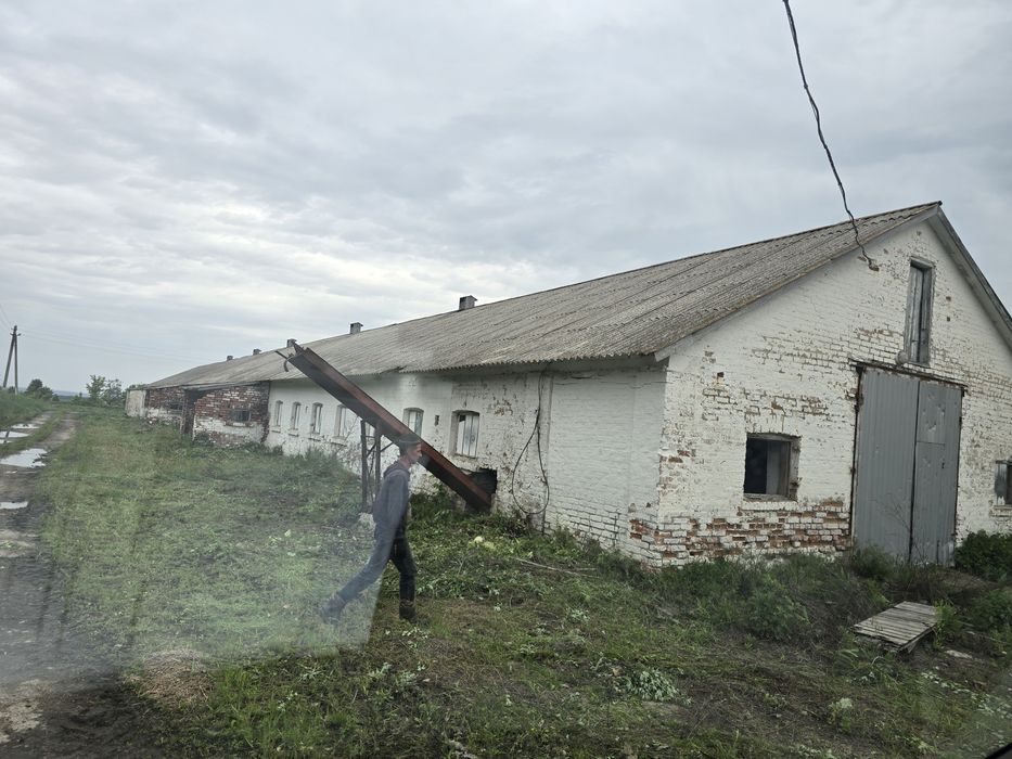 Продам  ферму Київська обл