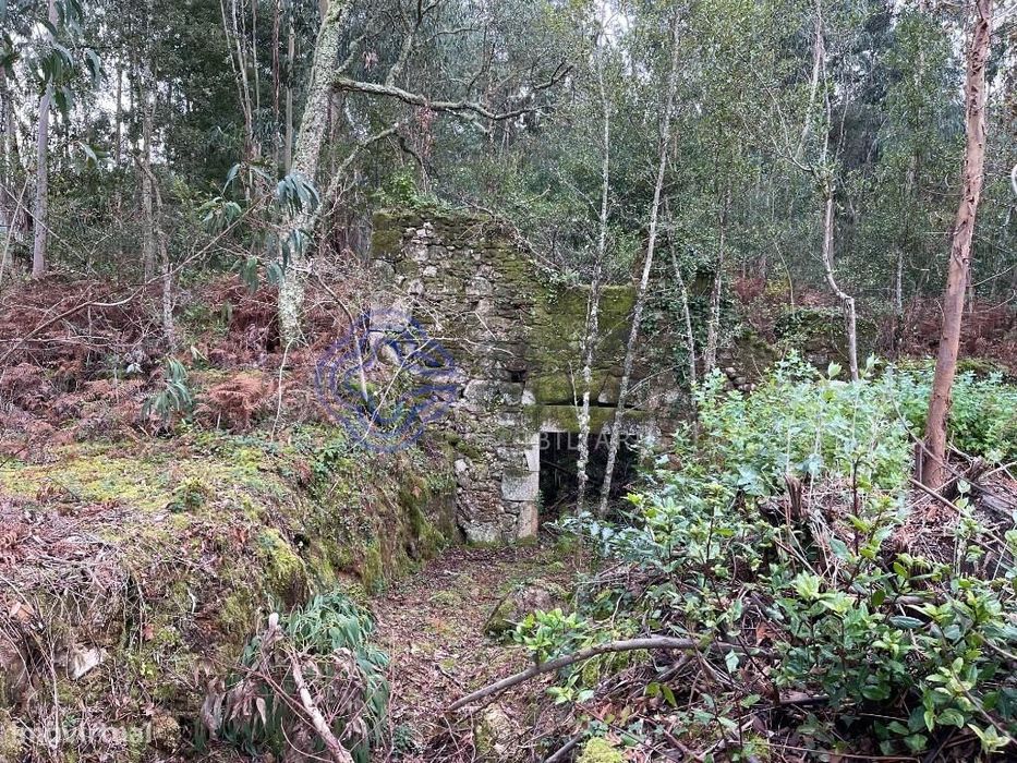 Moradia para recuperar com terreno de 6500 m2