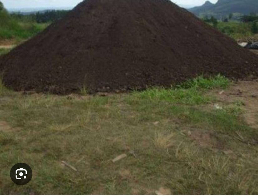 Terra. Preta dasse