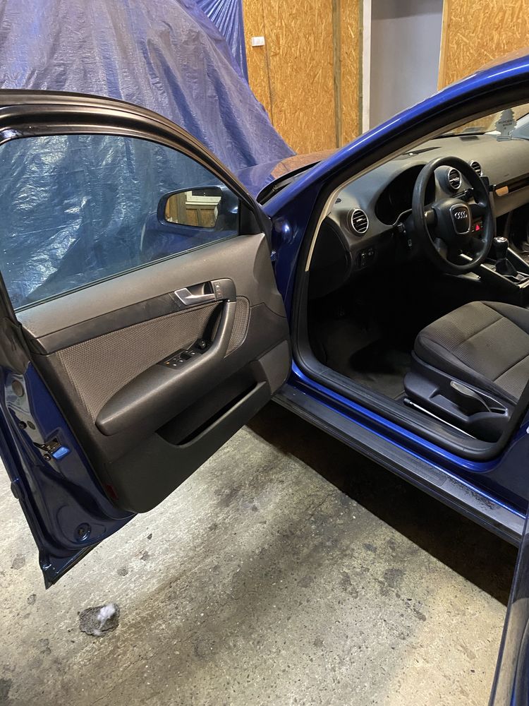 Audi A3 8P 1.9 TDI