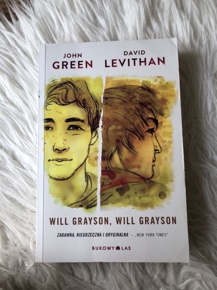 Książka Will Grayson, Will Grayson