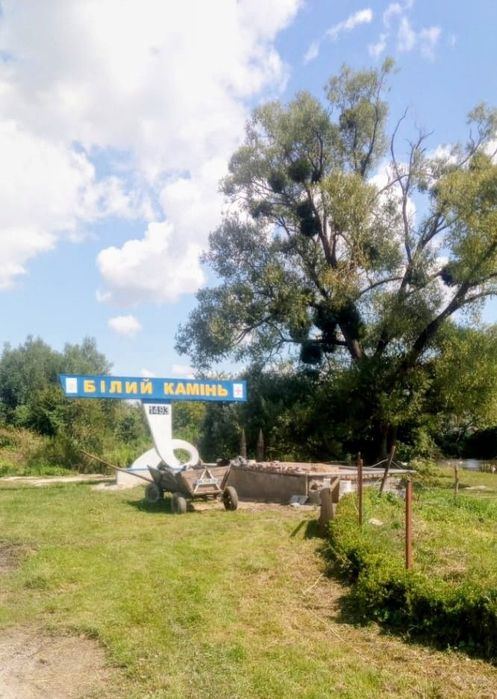 Терміновий продаж земельної ділянки  в мальовничому місці біля  лісу