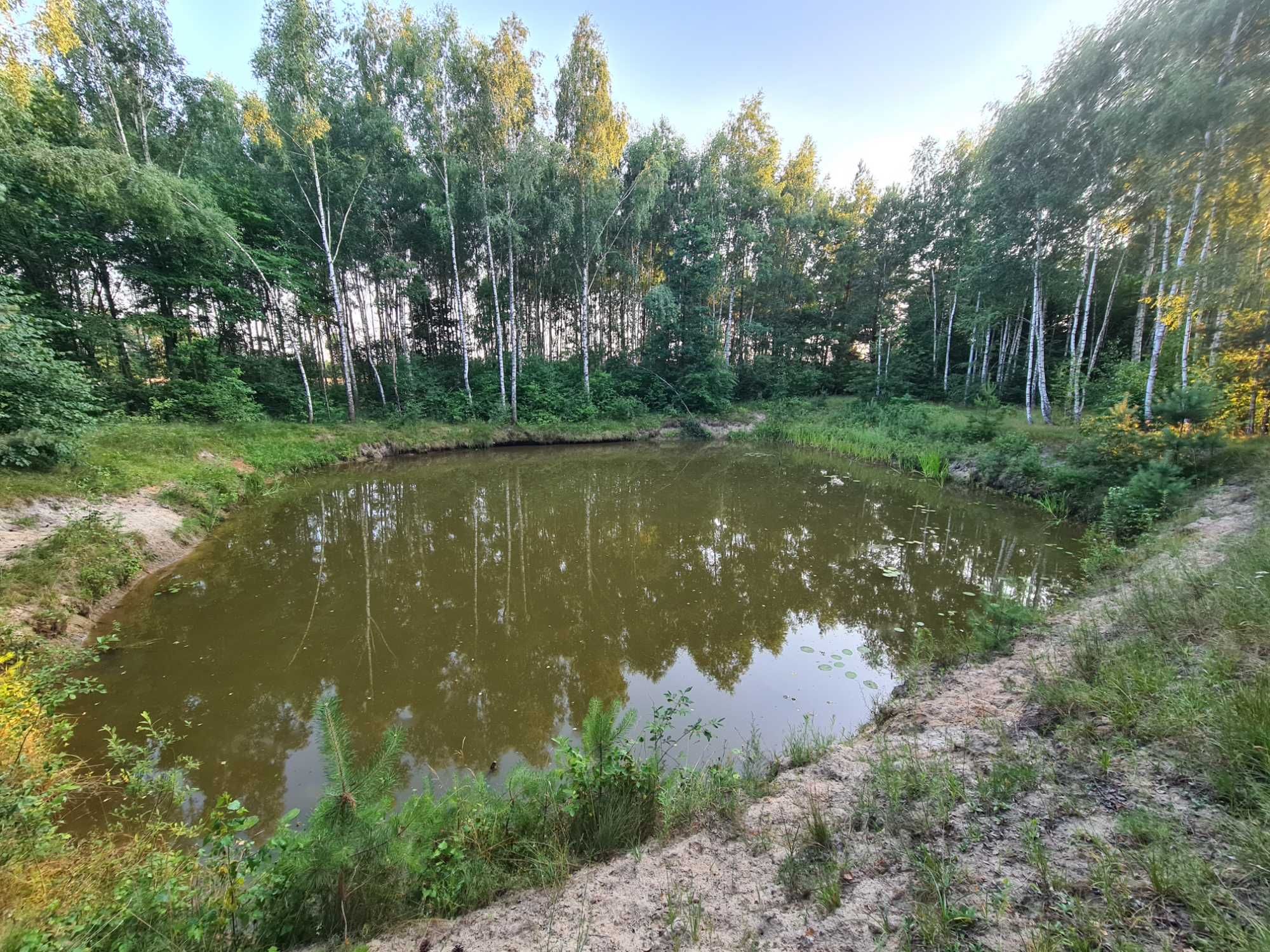 Dom z duża działka i stawem Kajetanka