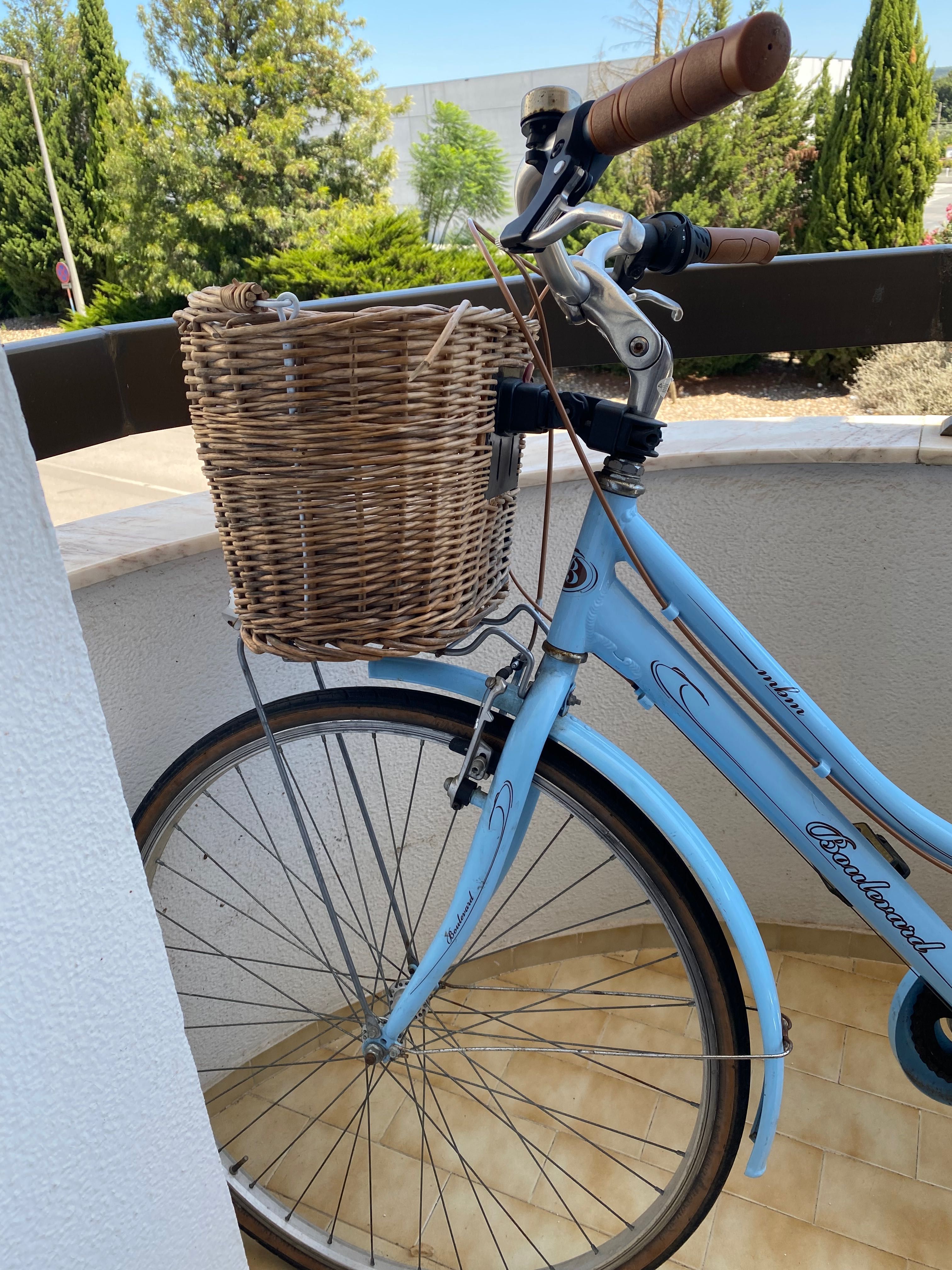 Bicicleta vintage
