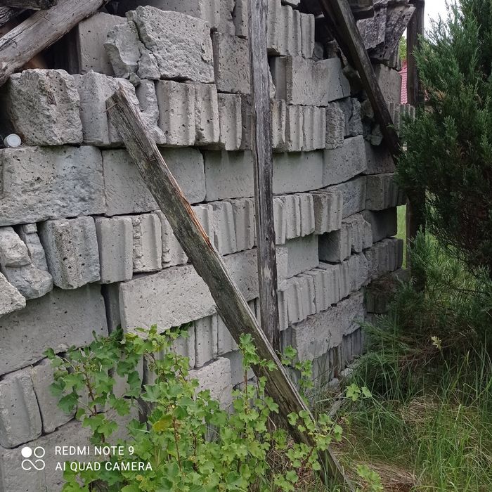 Pustaki duże i połówki