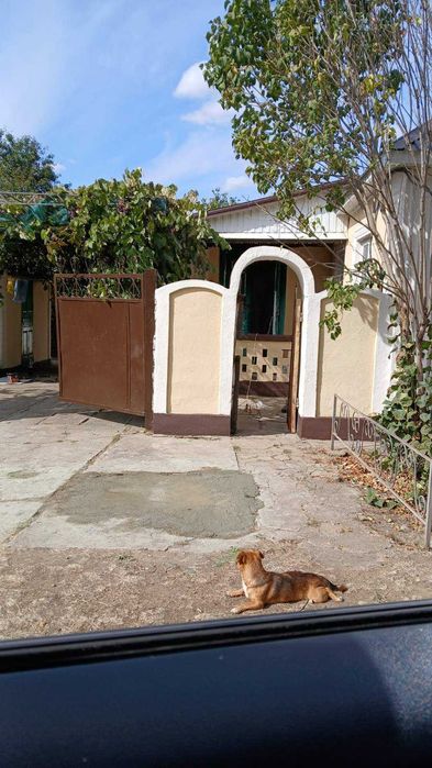 Продам крепкий дом в районном центре г.Березовка -супер предложение !