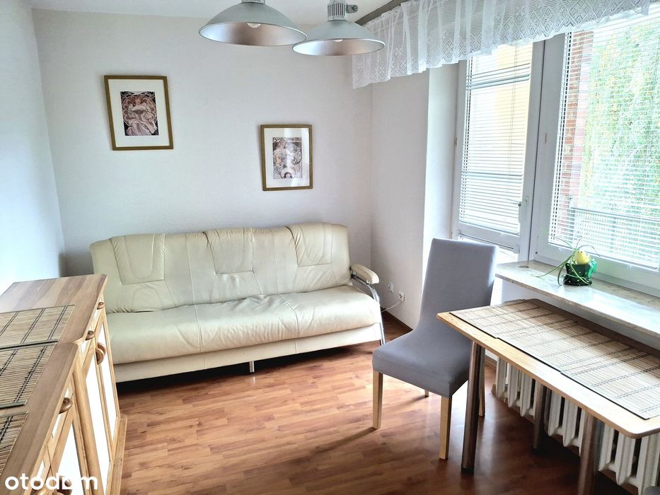 mieszkanie do wynajęcia