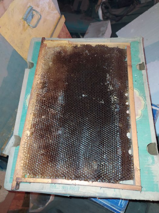 Улики из ОСБ и рамки.