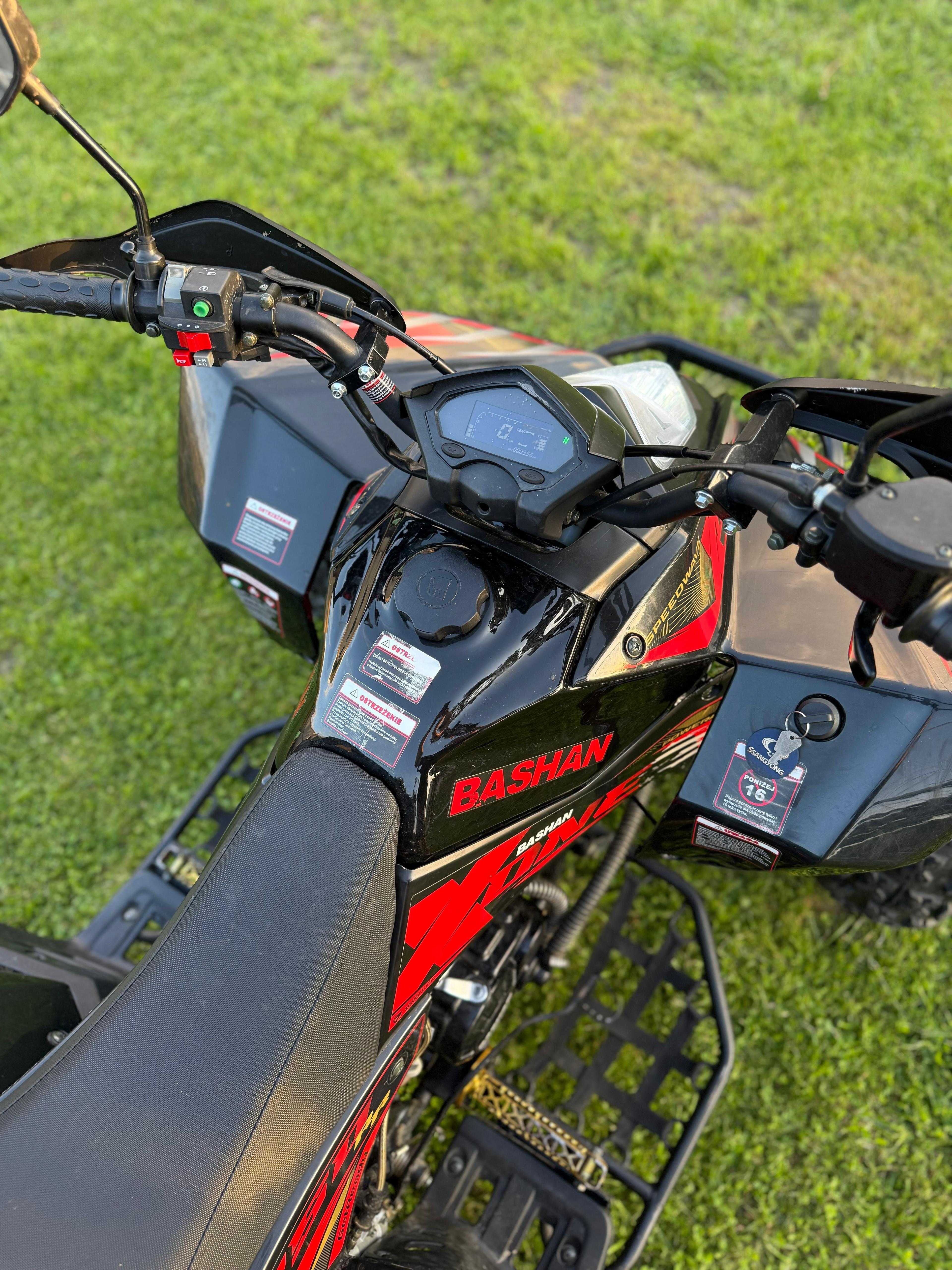 !QUAD Bashan 250!