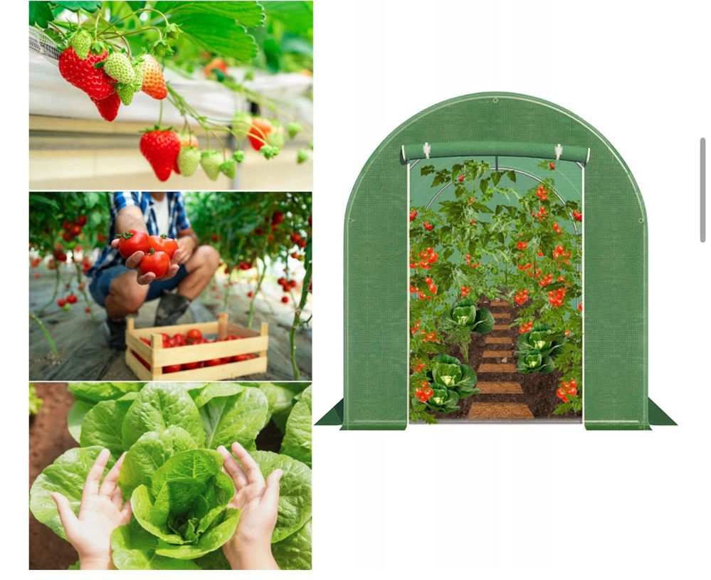 Tunel Foliowy Ogrodowy Szklarnia 600x250 6x2.5 cm Foliak Duży Zielony