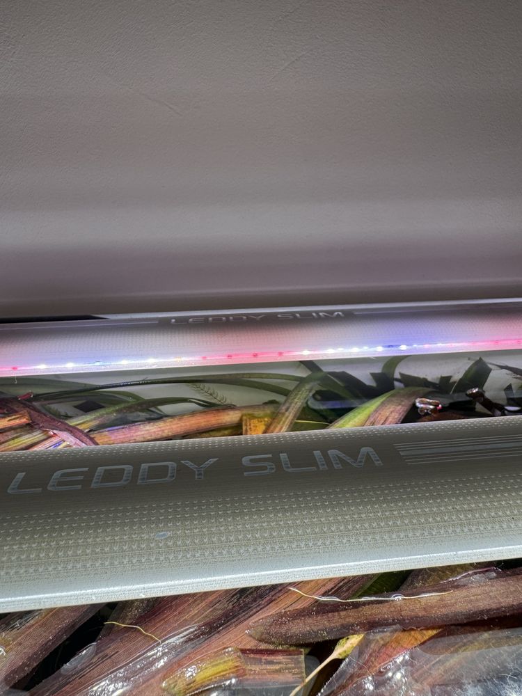 Lampa Aquael leddy slim 36W sunny D&N 100-120CM