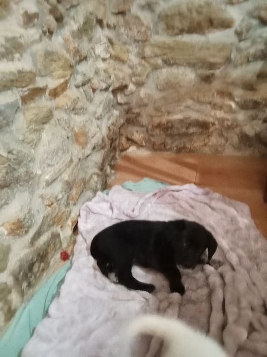 l.Cahorros para dar.