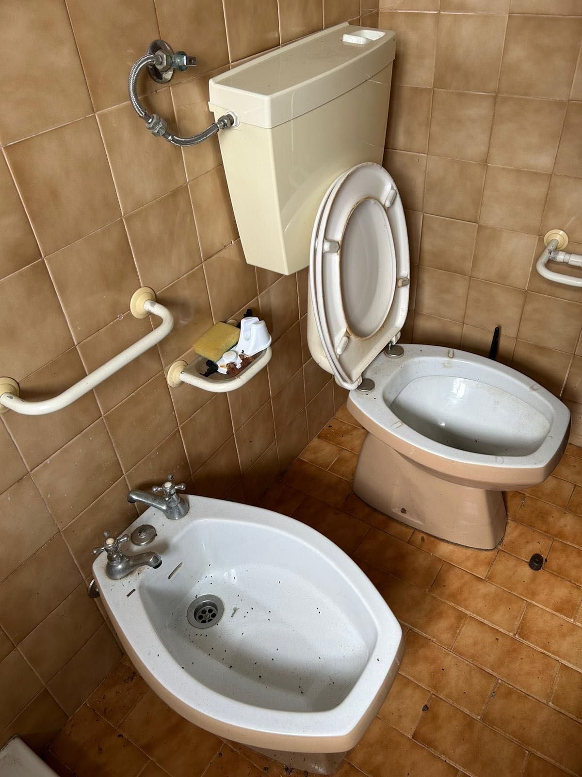 Casa T2 + terreno (5000m2)