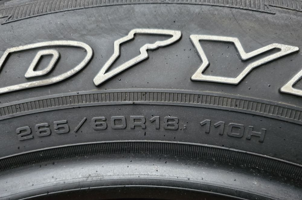 Opony Goodyear Wrangler 265/60 R18 110H