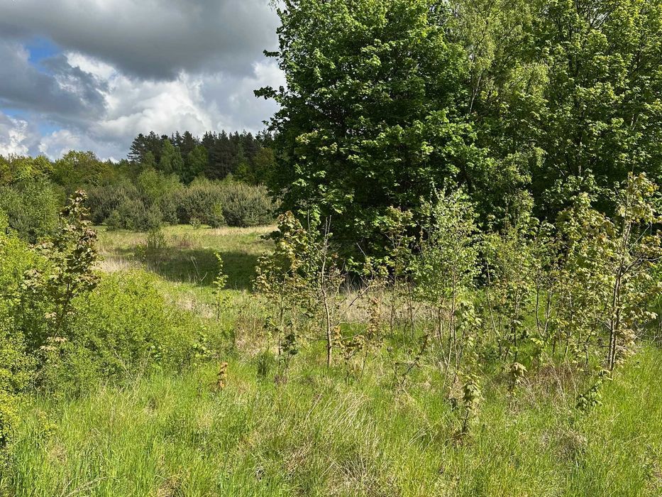 Działka budowlana 800 m² | MPZP | spokojna okolica | 25 min od Gdańska