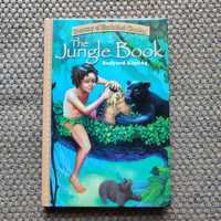 Livros para criança em inglês (The Jungle Book + Berenstain Bears)