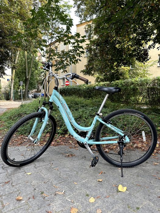 Trek Equinox Navigator 2.0 WSD (juniorski/niski wzrost) 13.5'' rama