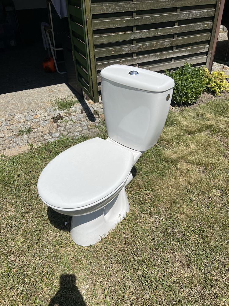Sedes dolnopłuk koło wc