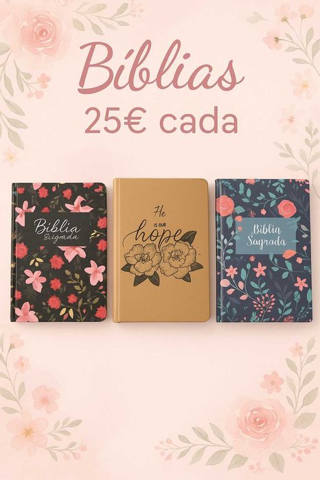 Bíblia Sagrada Feminina