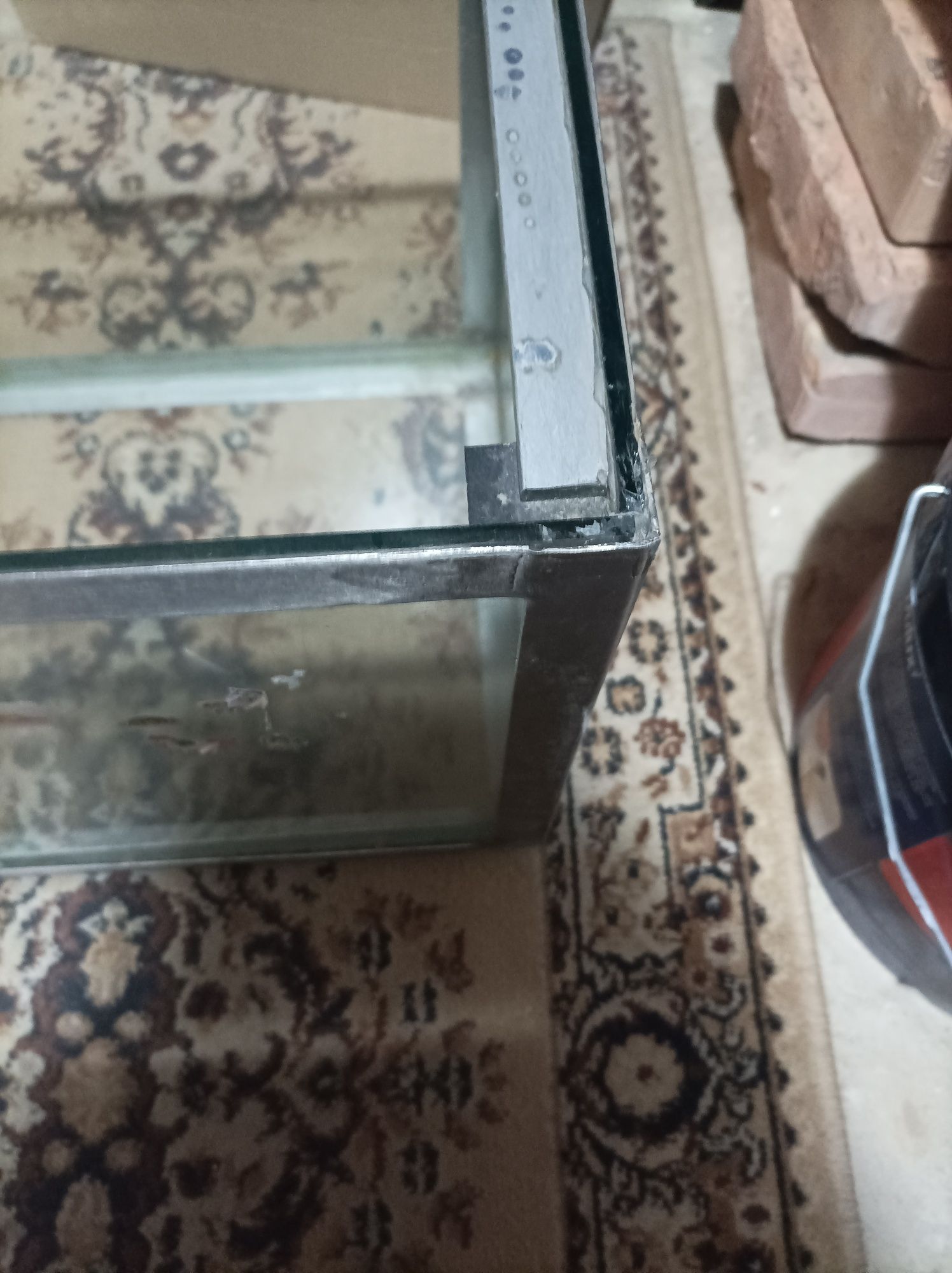 Akwarium dla chomika świnki morskiej żółwia