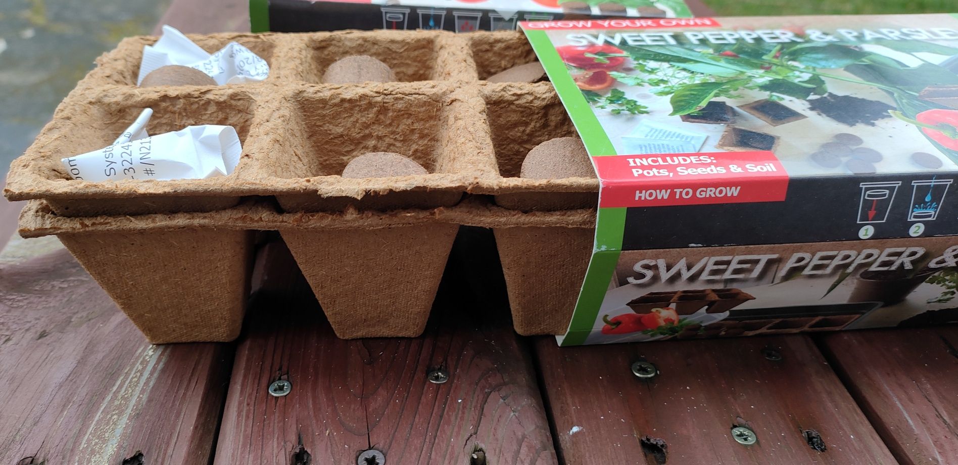 Nasiona papryki pietruszki Zestaw do uprawy roślin mini ogródek