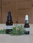 Olejek piołunowy 10ml, macerat