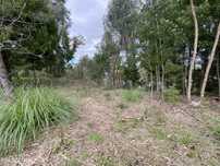 Terreno  Venda em Leiria, Pousos, Barreira e Cortes,Leiria